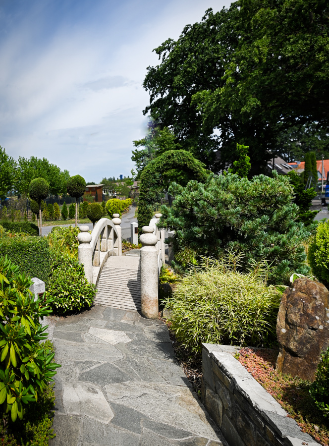 DSC_5260_layer_copy.jpg