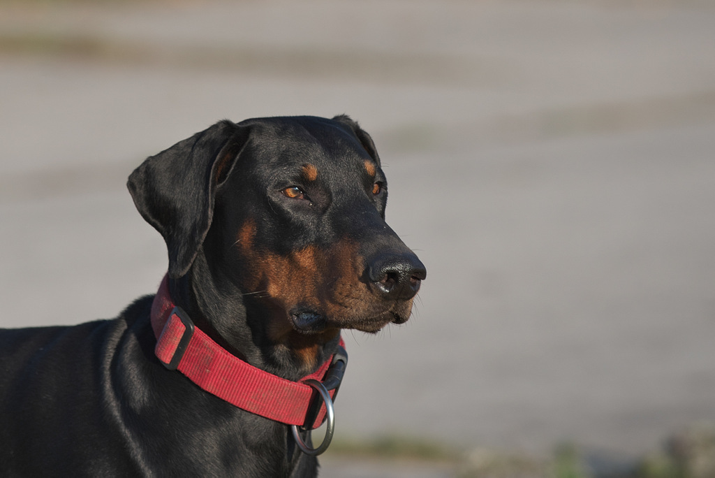 DSC_5272.jpg