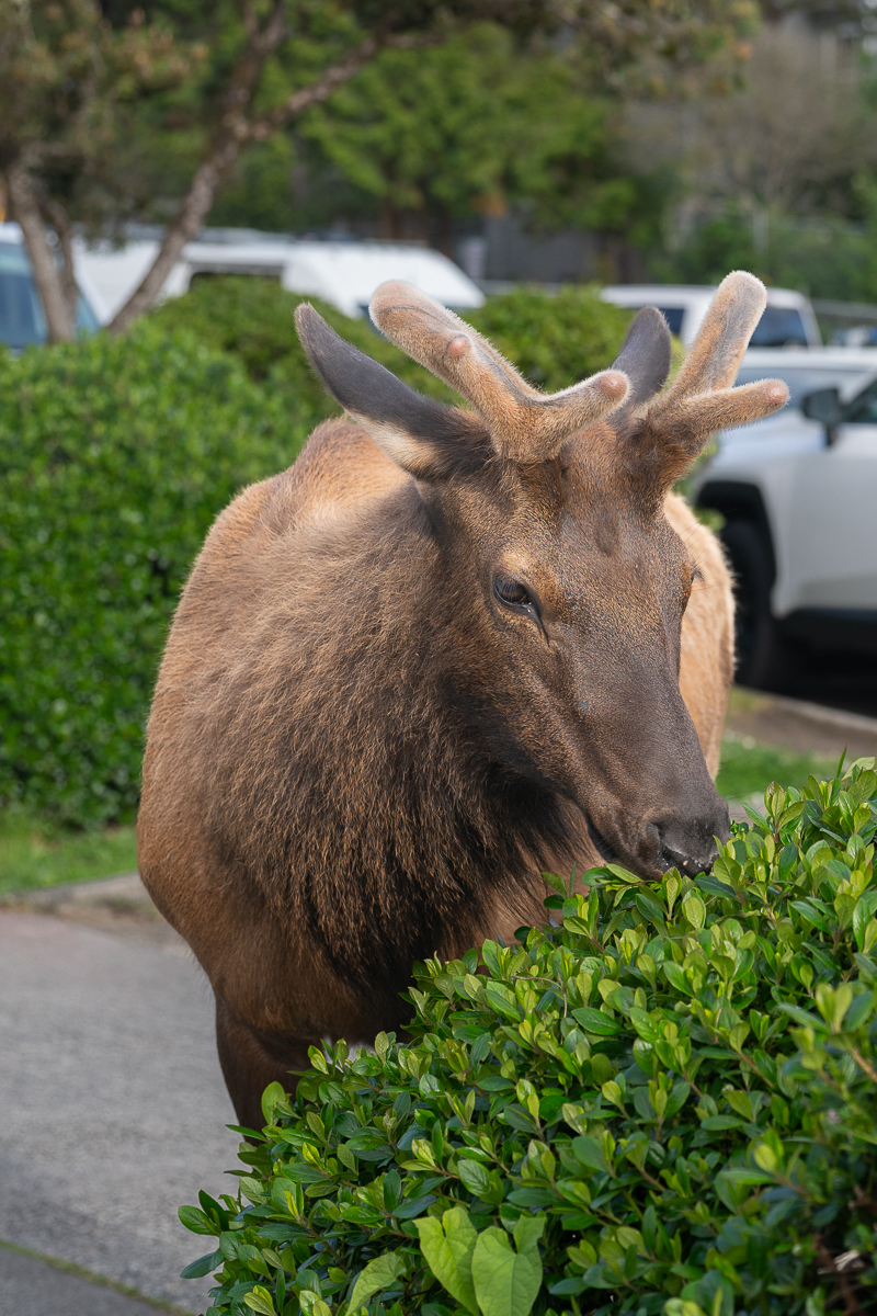 DSC_5298.jpg