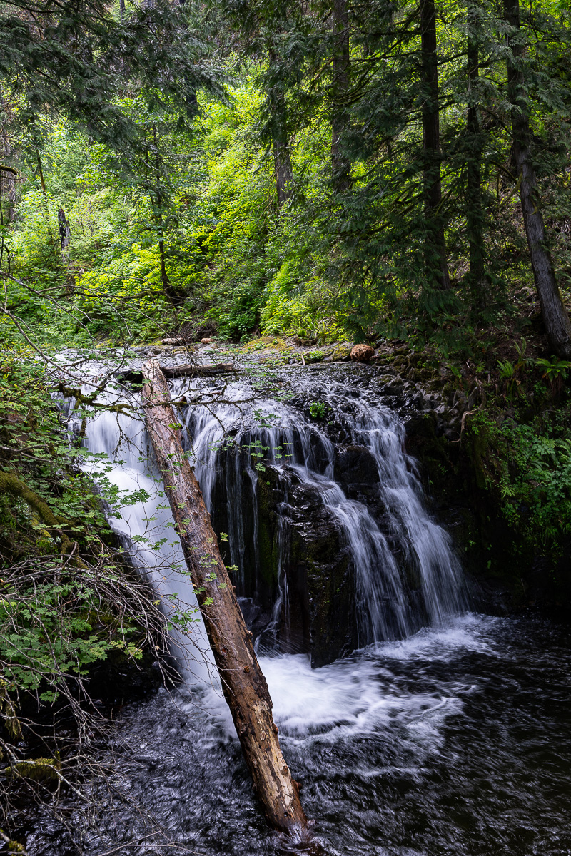 DSC_5310.jpg