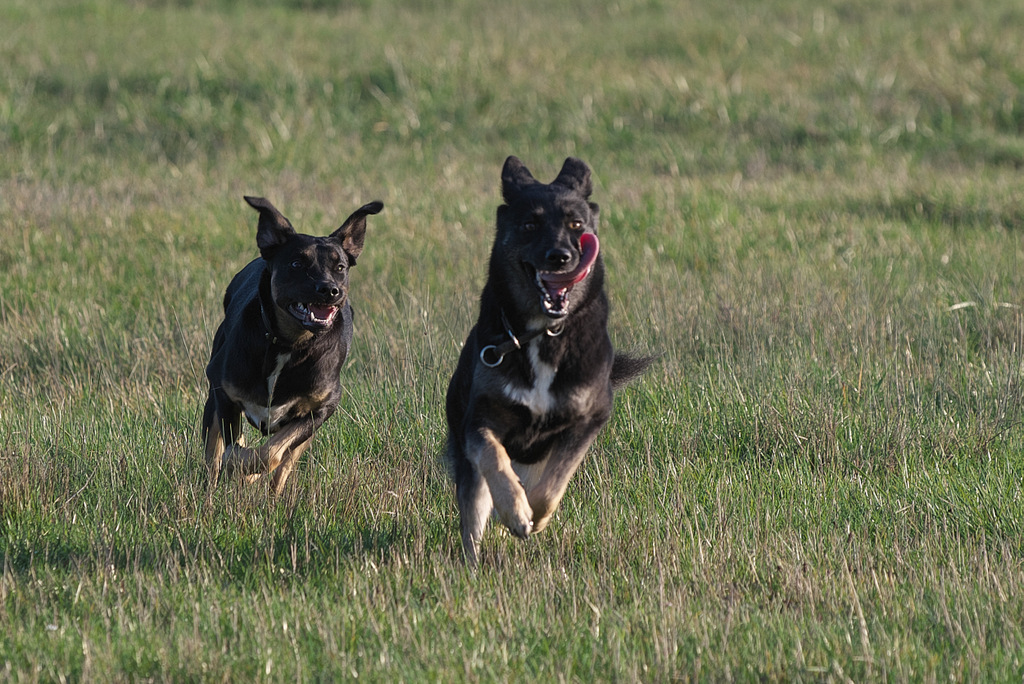 DSC_5326.jpg