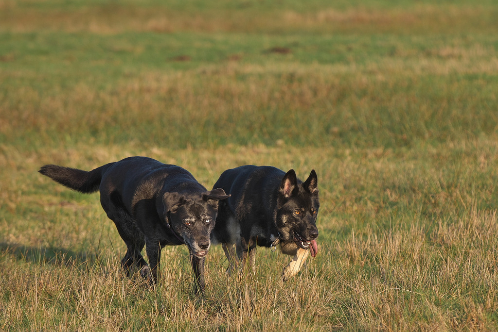 DSC_5337.jpg