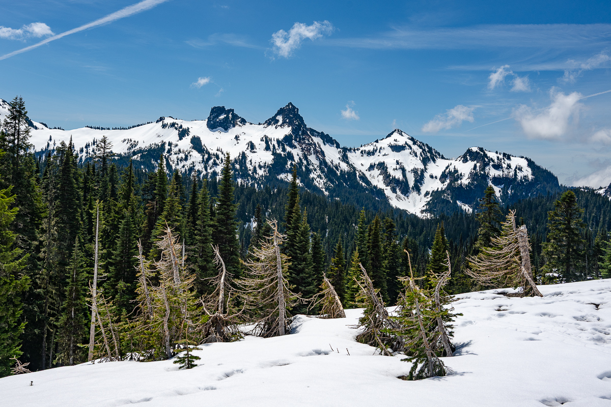 DSC_5348.jpg