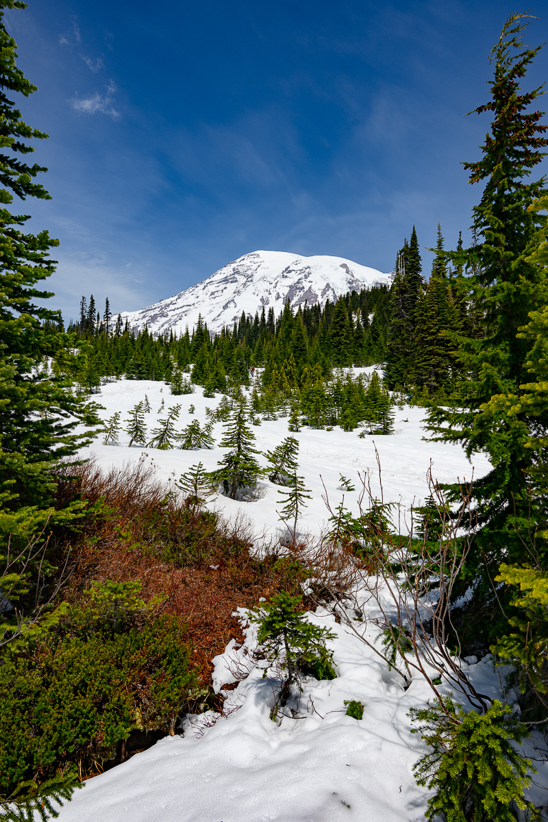 DSC_5352.jpg