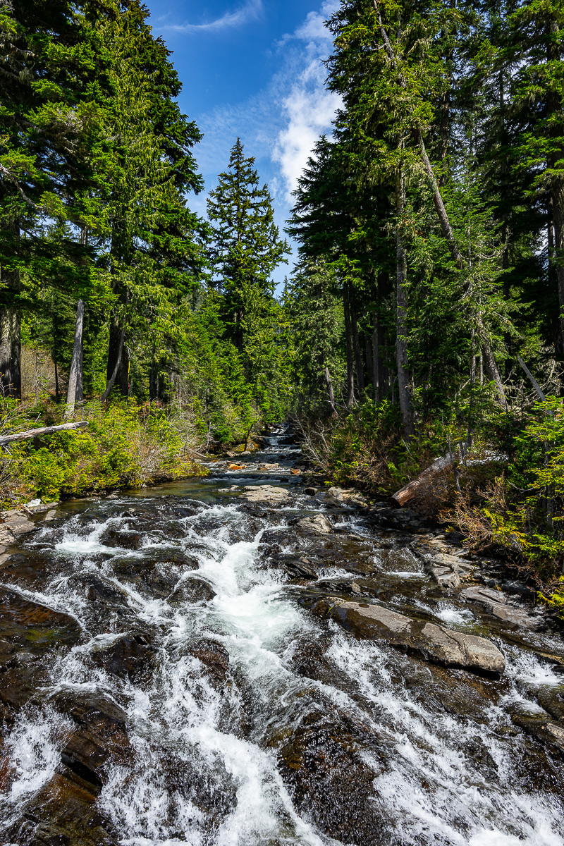 DSC_5375.jpg