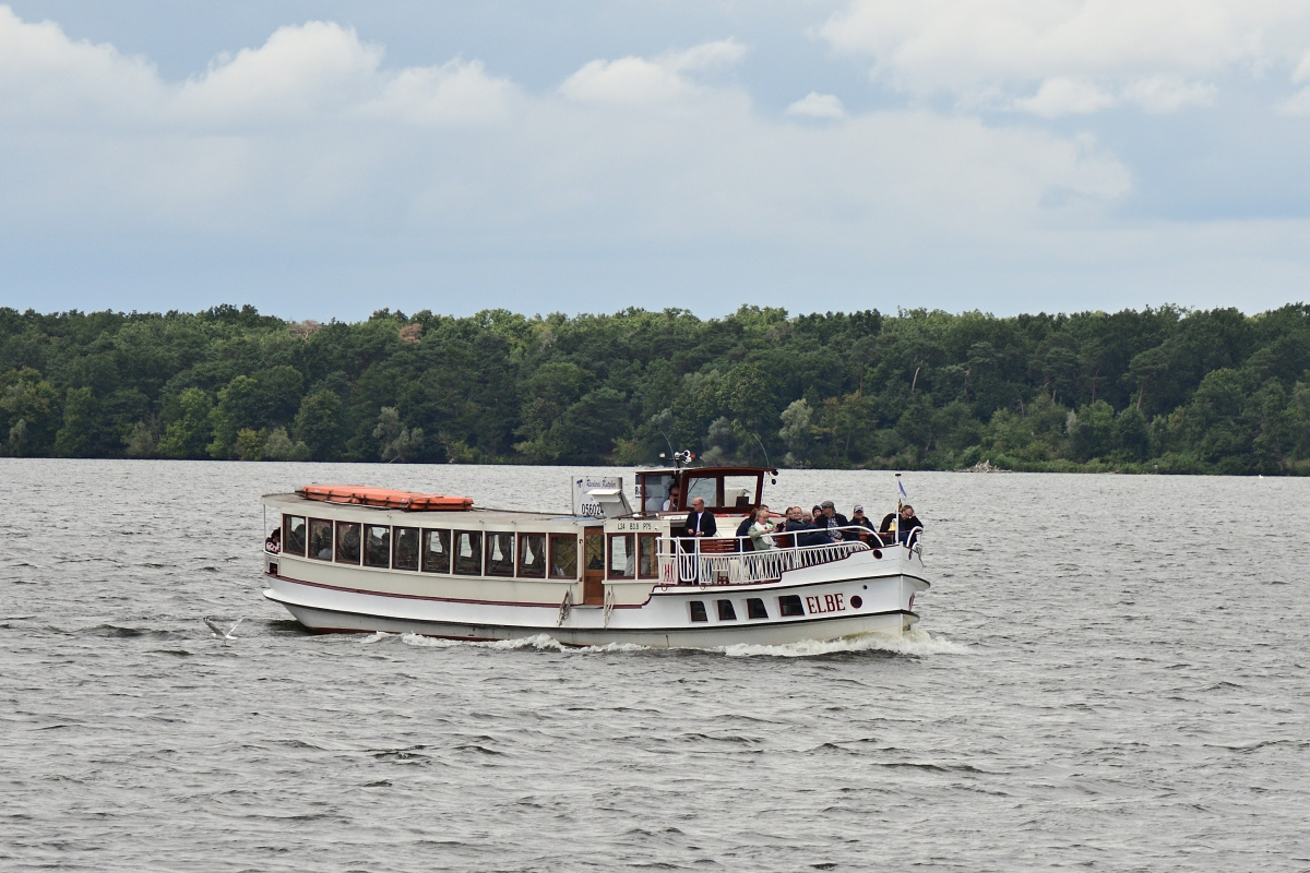 DSC_5377.JPG