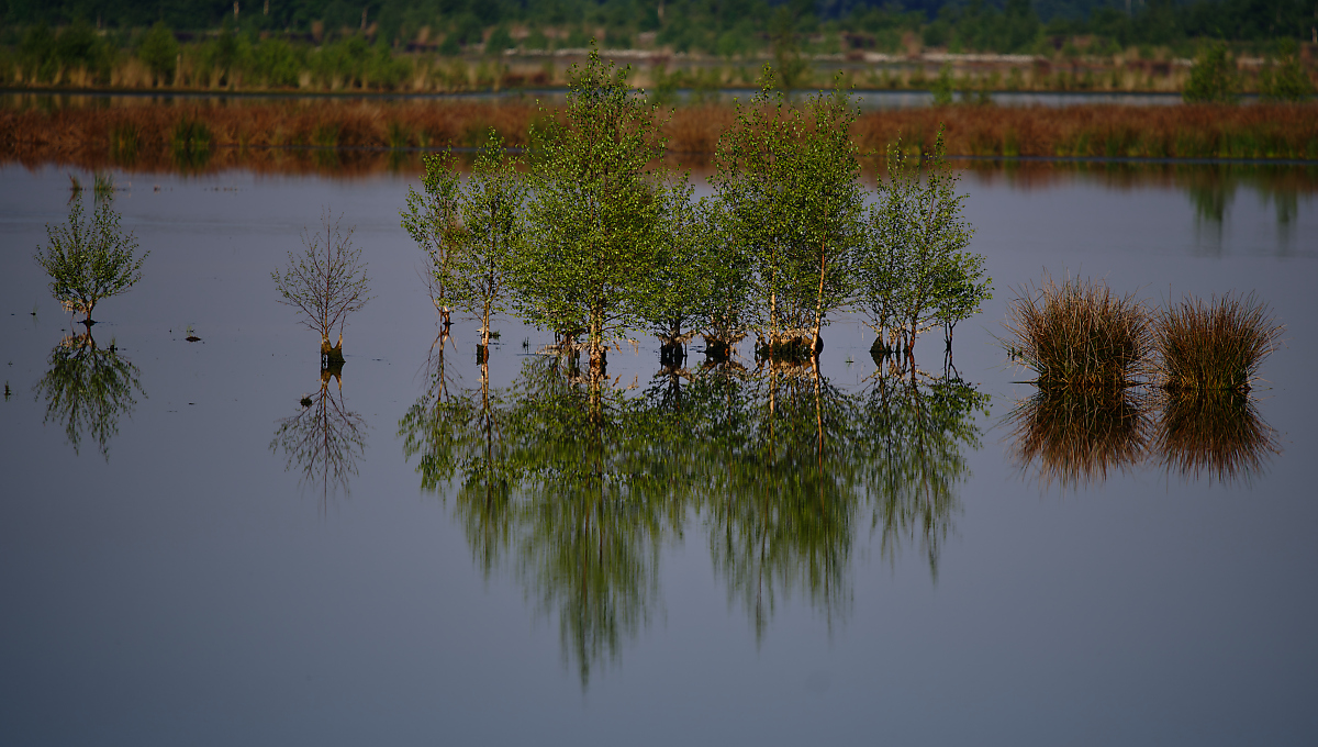 DSC_5389.jpg