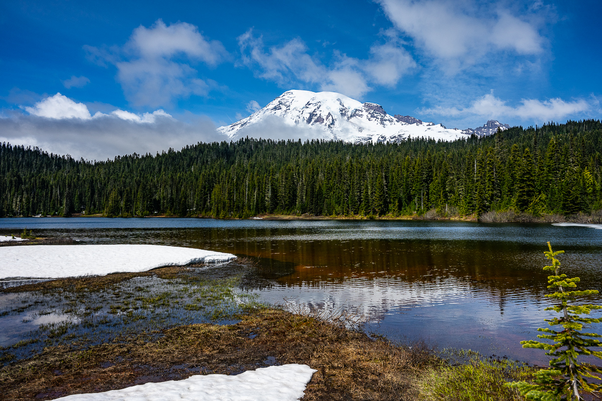 DSC_5389.jpg