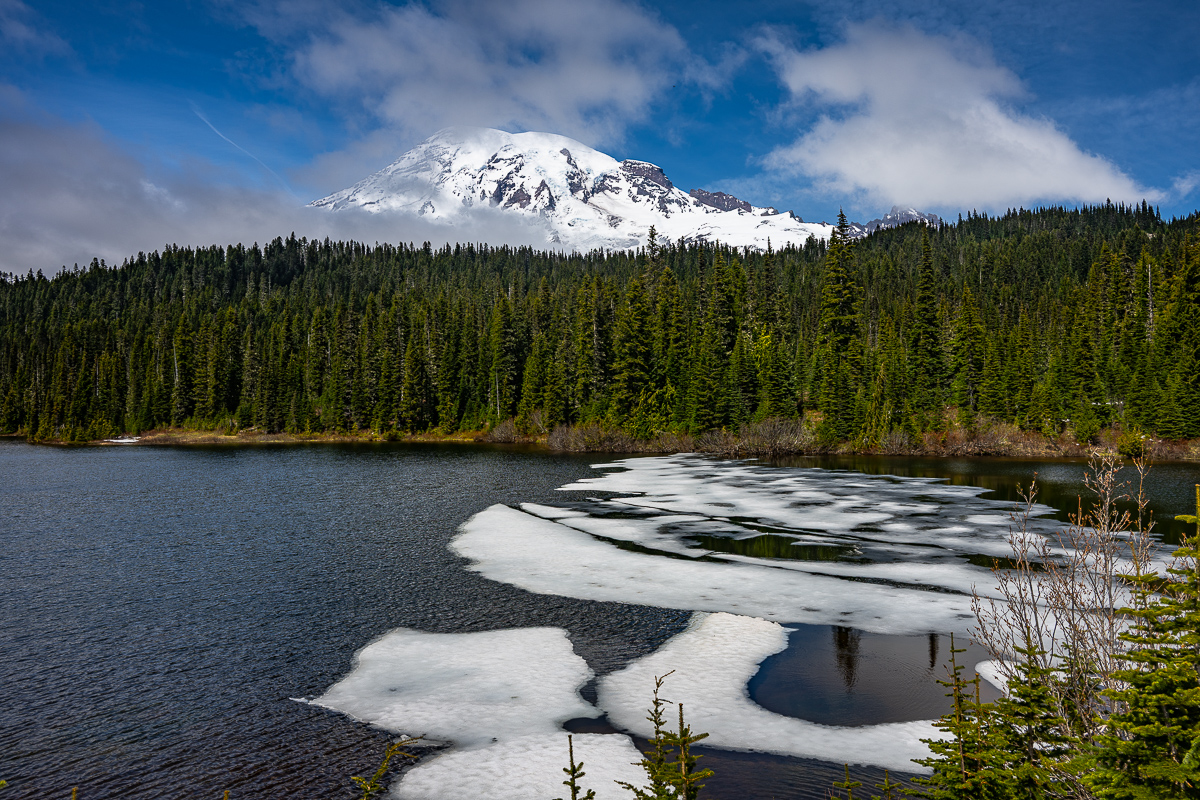 DSC_5402.jpg