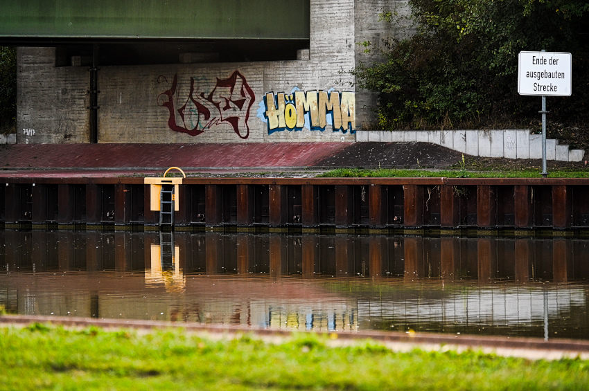 DSC_5406.jpg