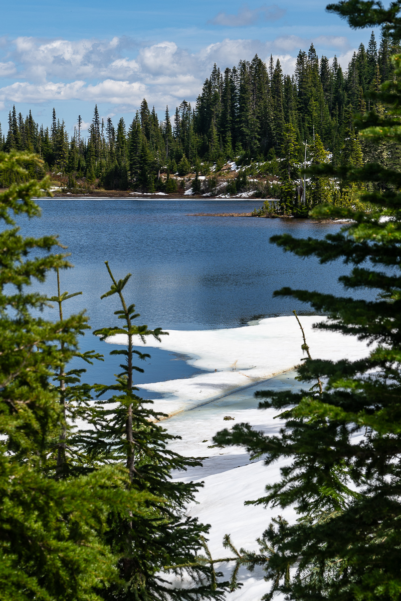 DSC_5407.jpg
