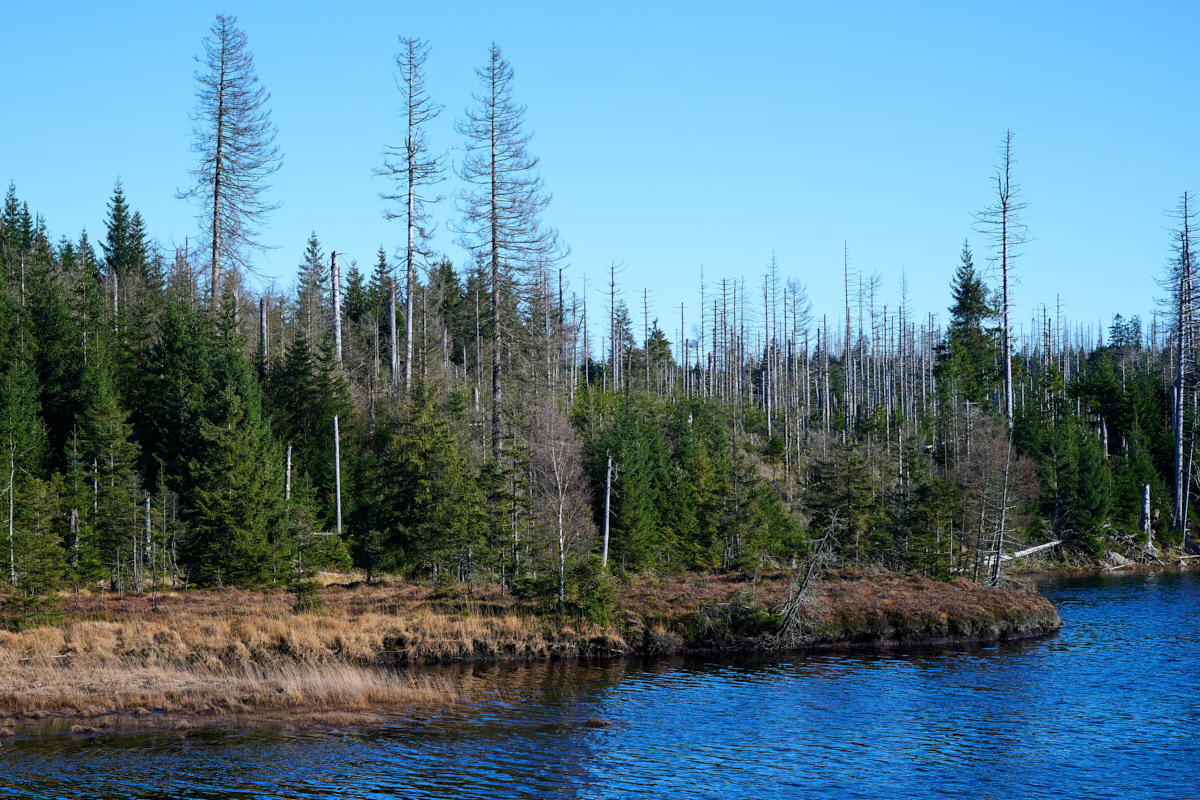 DSC_5414.jpg