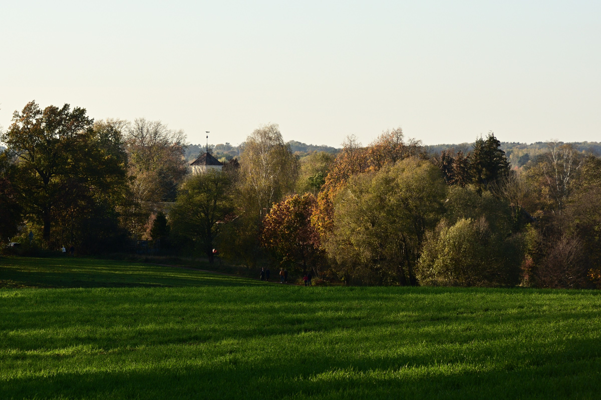 DSC_5422.JPG