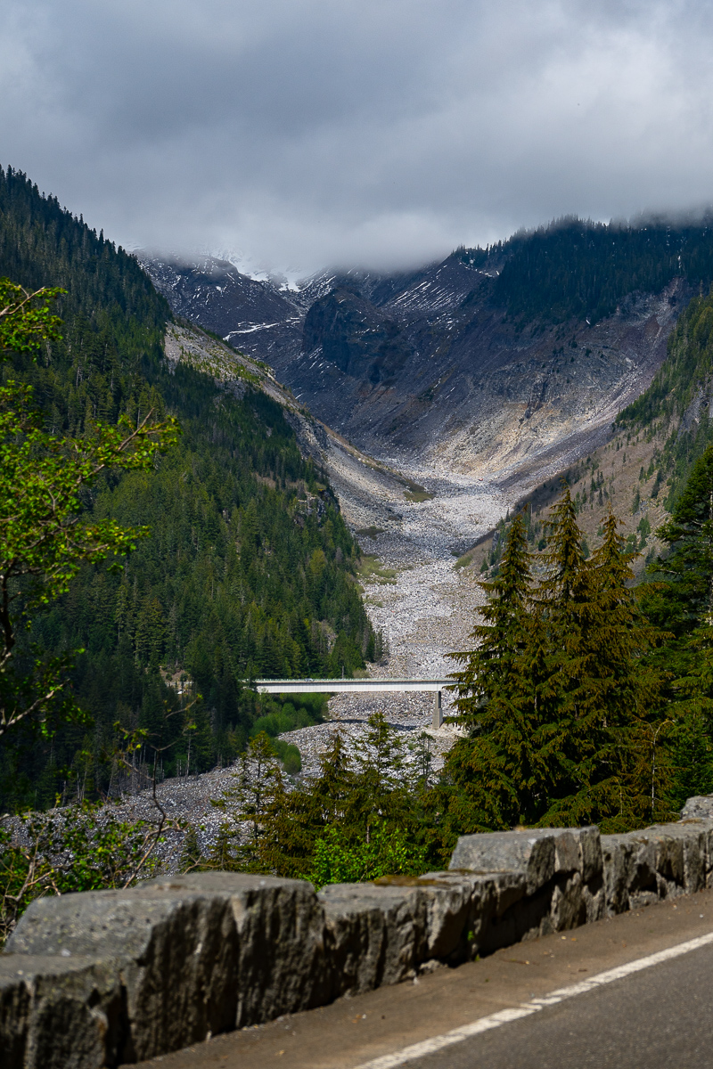 DSC_5431.jpg
