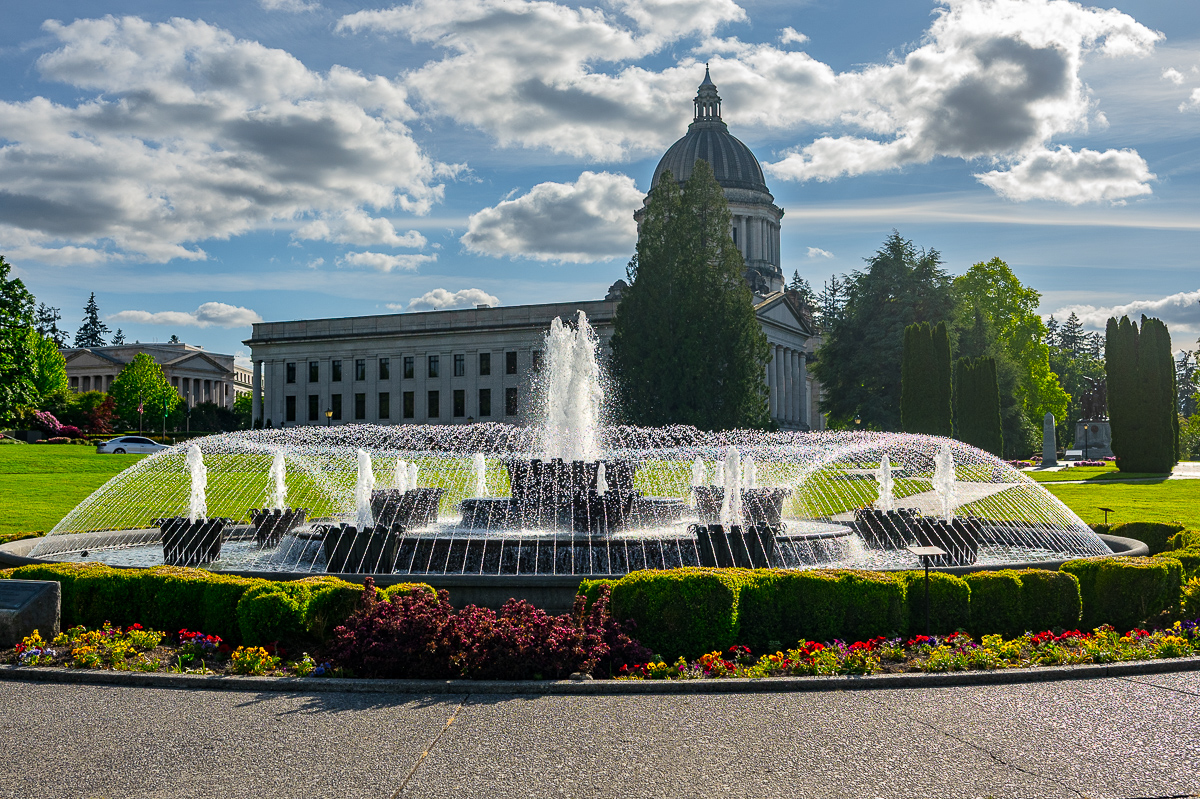 DSC_5433.jpg