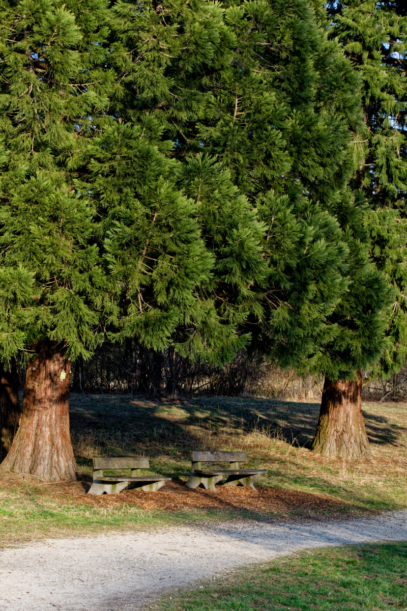 DSC_5448_DxO.jpg