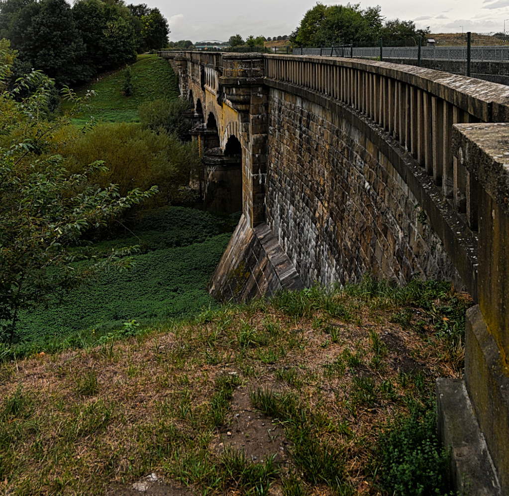DSC_5454.jpg