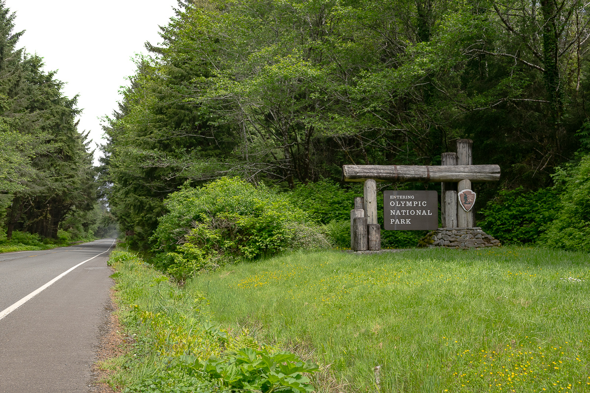 DSC_5454.jpg