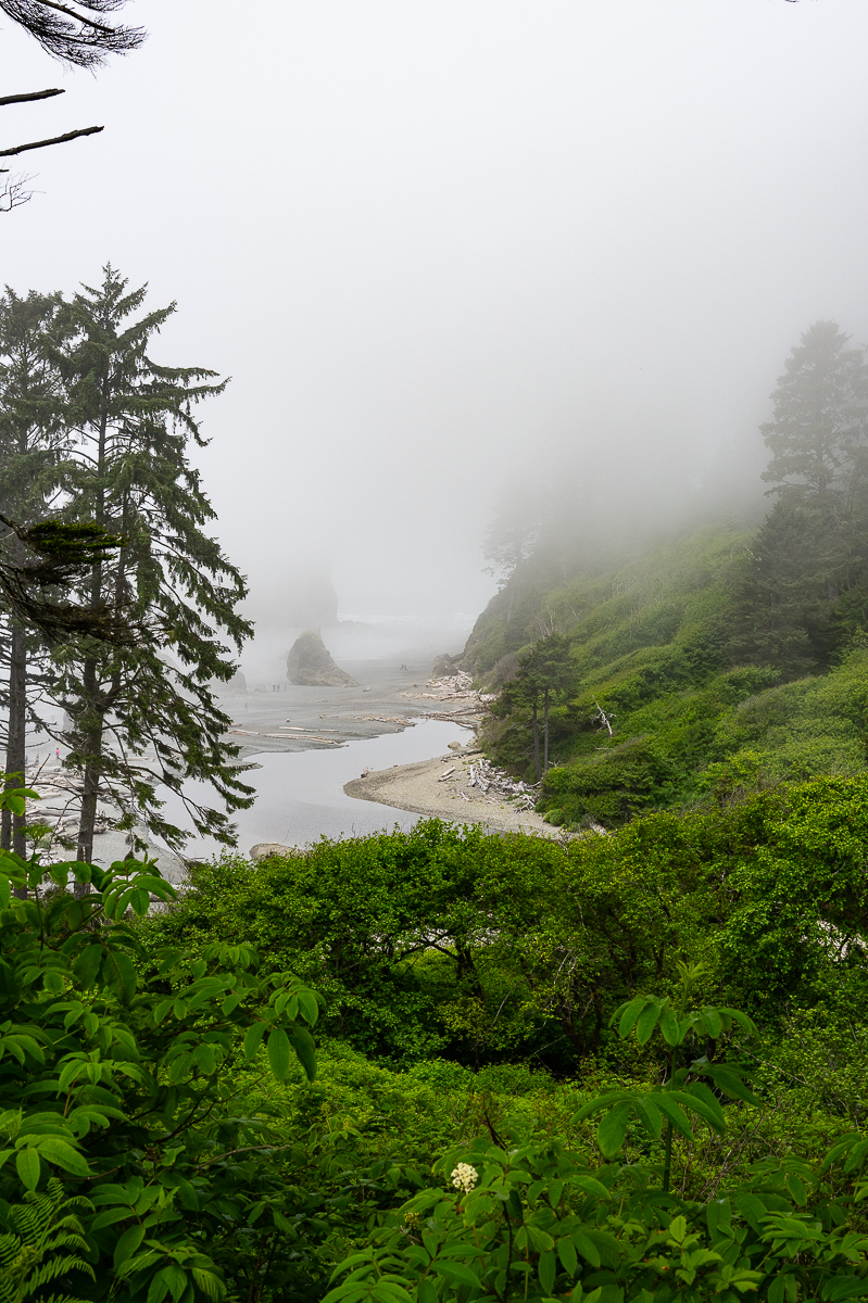 DSC_5455.jpg