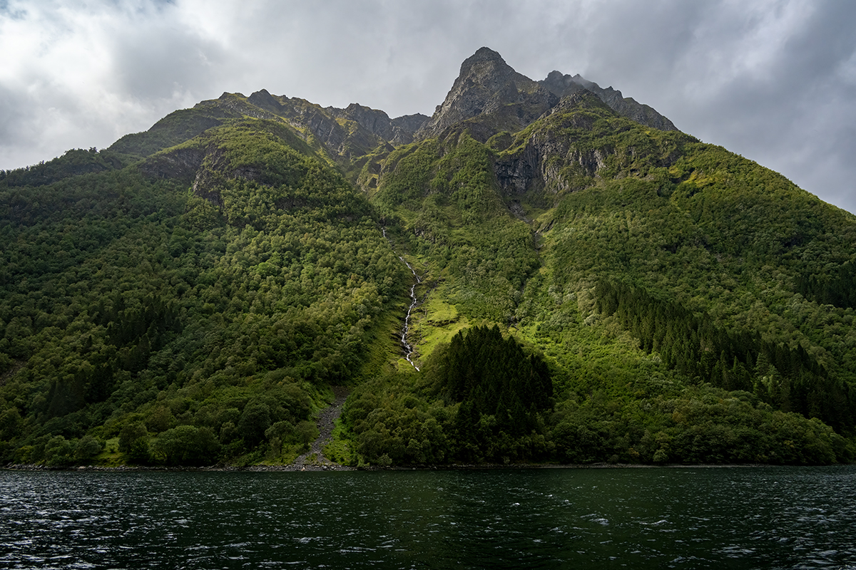 DSC_5461.jpg