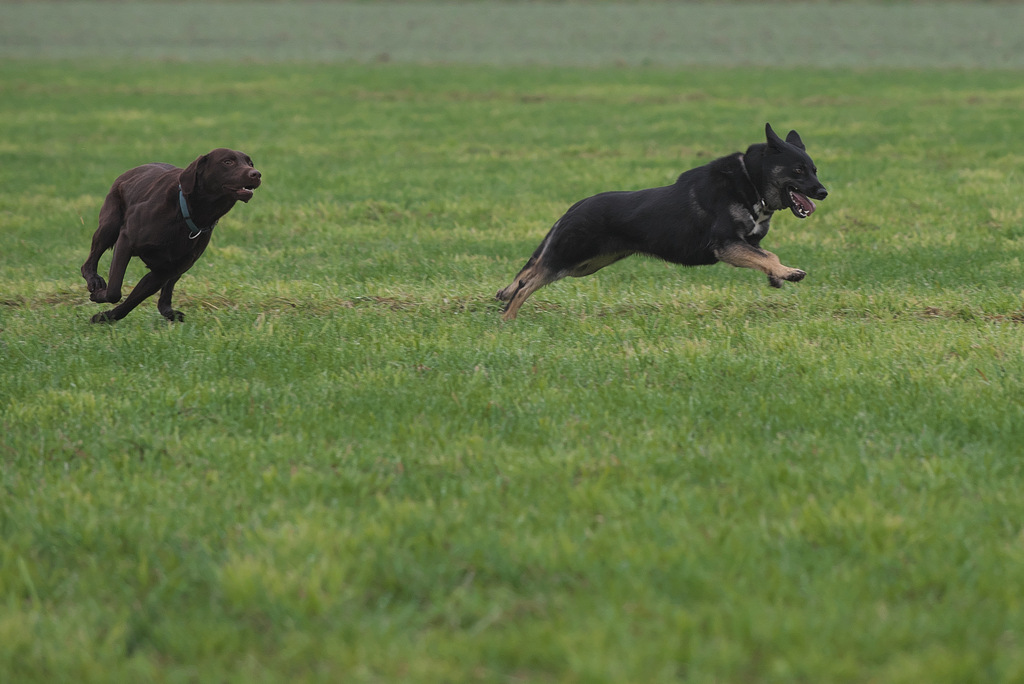 DSC_5466.jpg