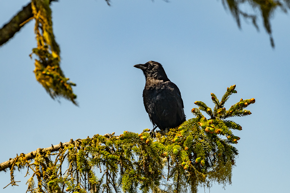 DSC_5467.jpg