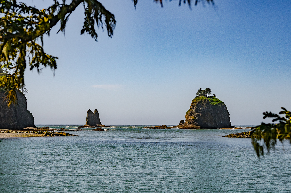 DSC_5471.jpg