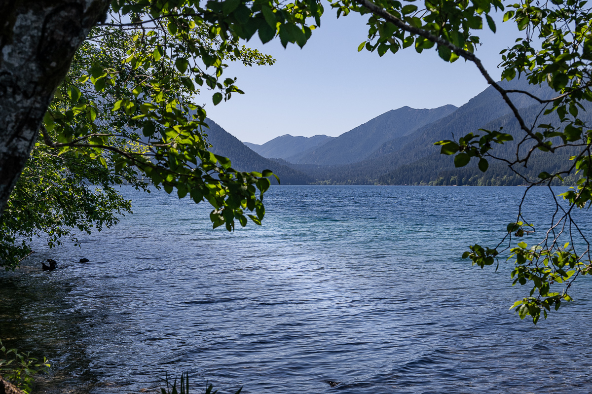 DSC_5474.jpg