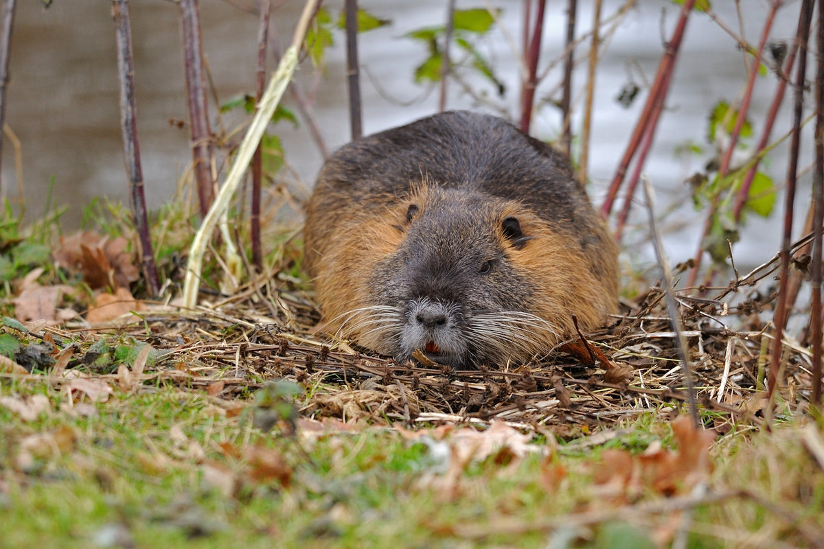 DSC_5476.jpg