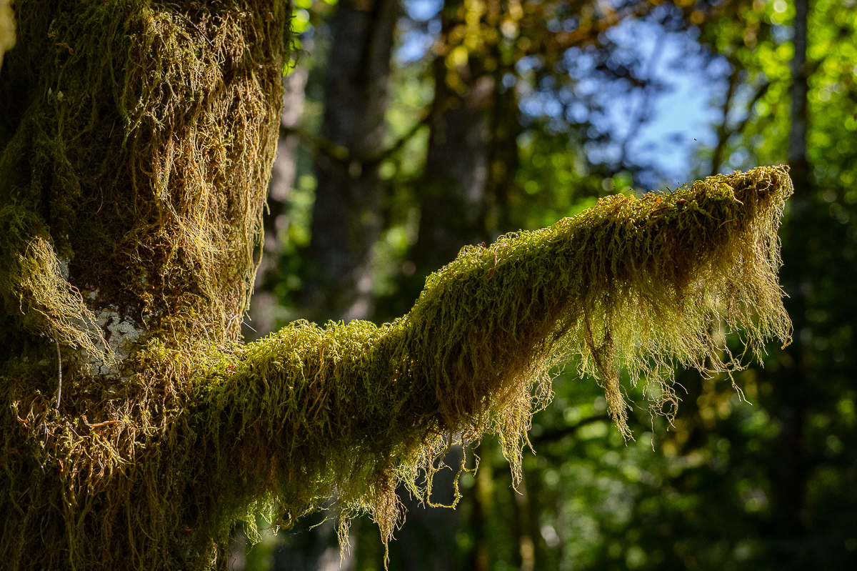 DSC_5477.jpg