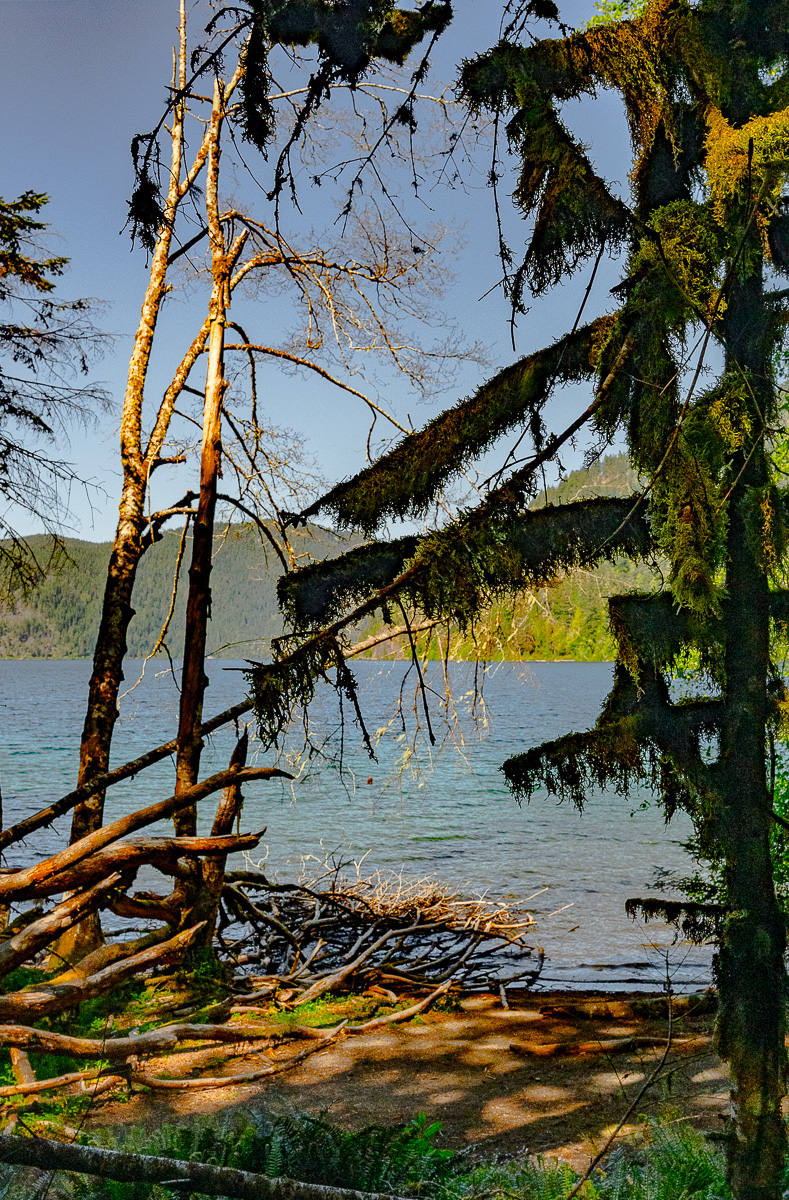 DSC_5480.jpg