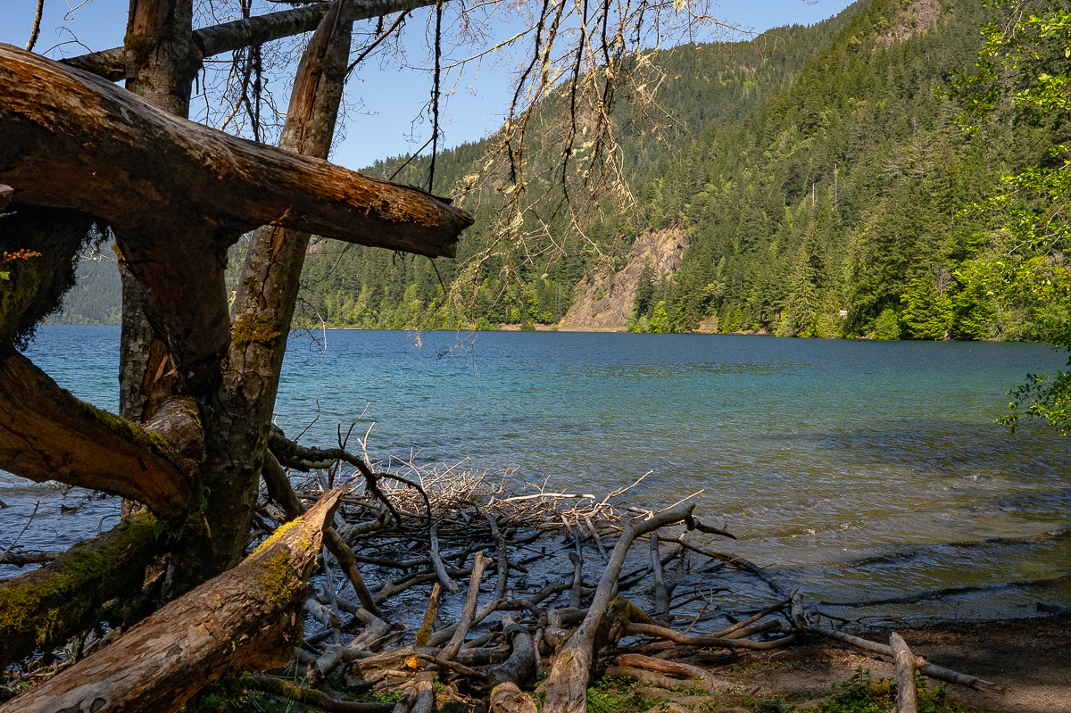 DSC_5482.jpg