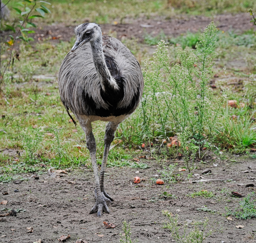 DSC_5486.jpg