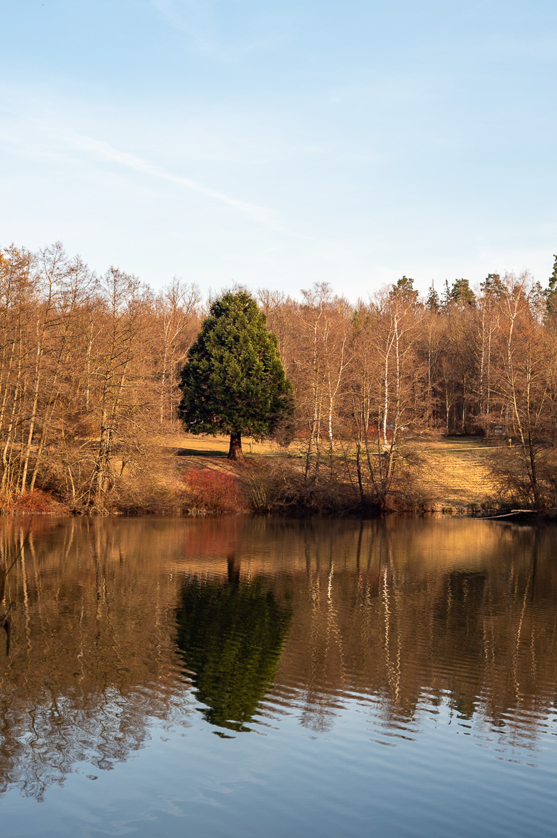 DSC_5497-2.jpg