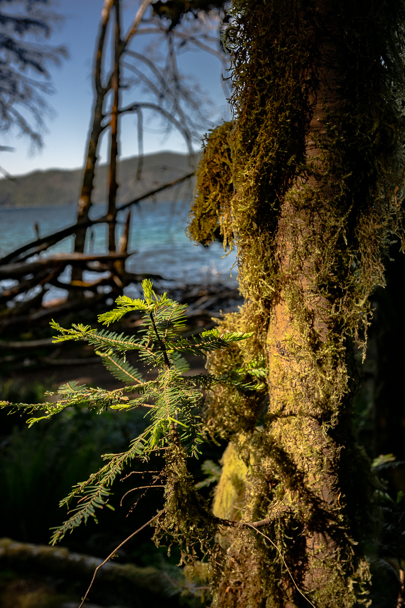 DSC_5513.jpg