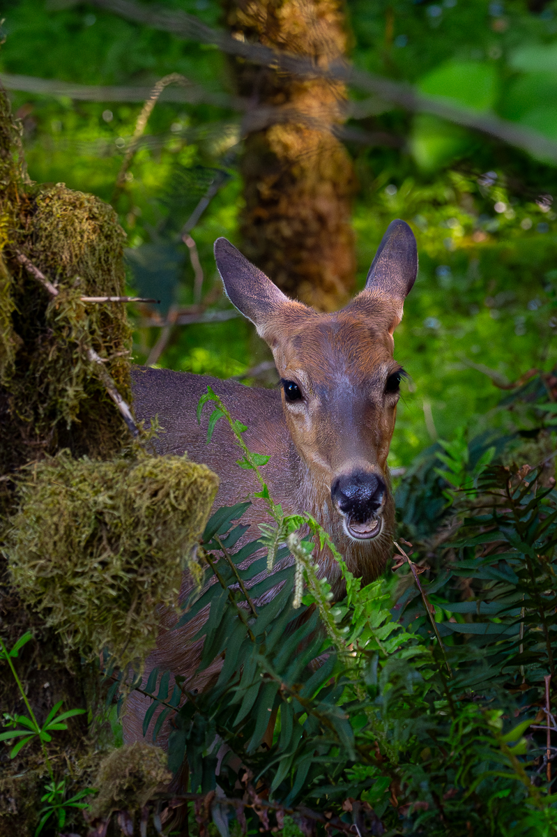 DSC_5521.jpg