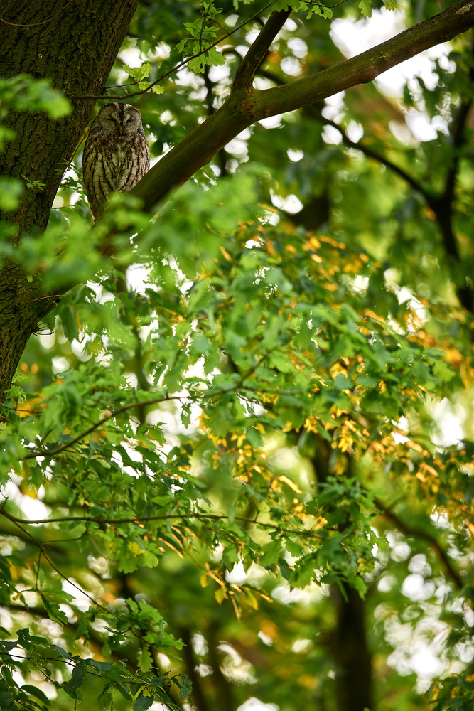 DSC_5535.jpg