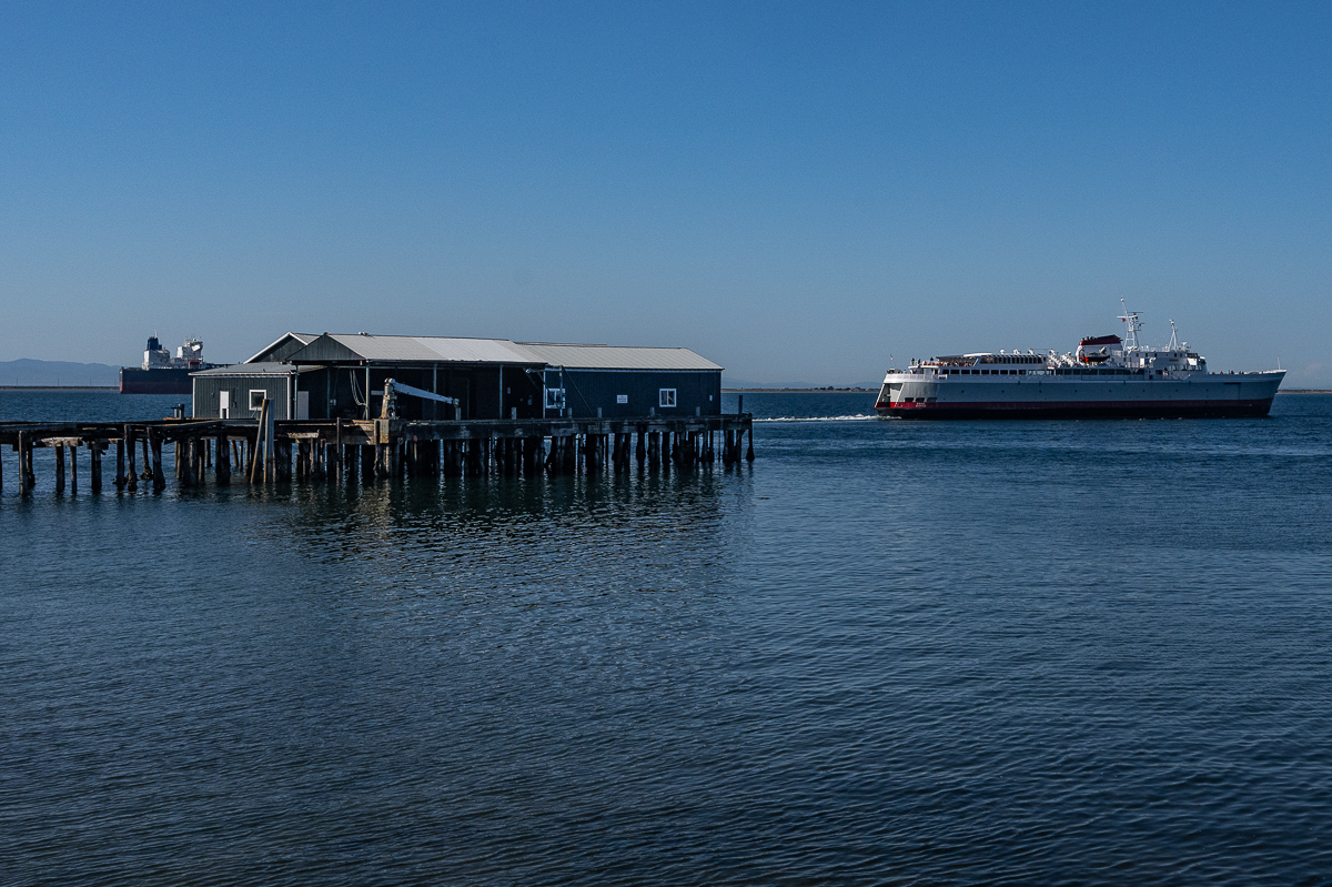 DSC_5537.jpg