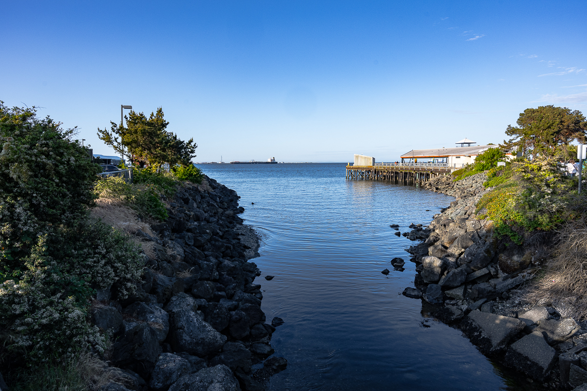 DSC_5540.jpg