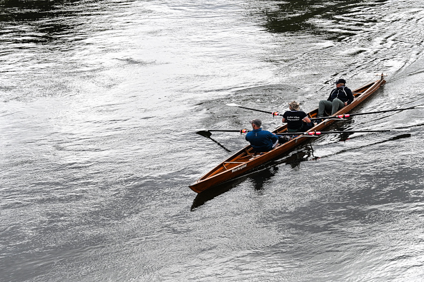 DSC_5542.jpg