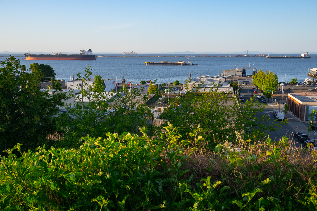 DSC_5542.jpg