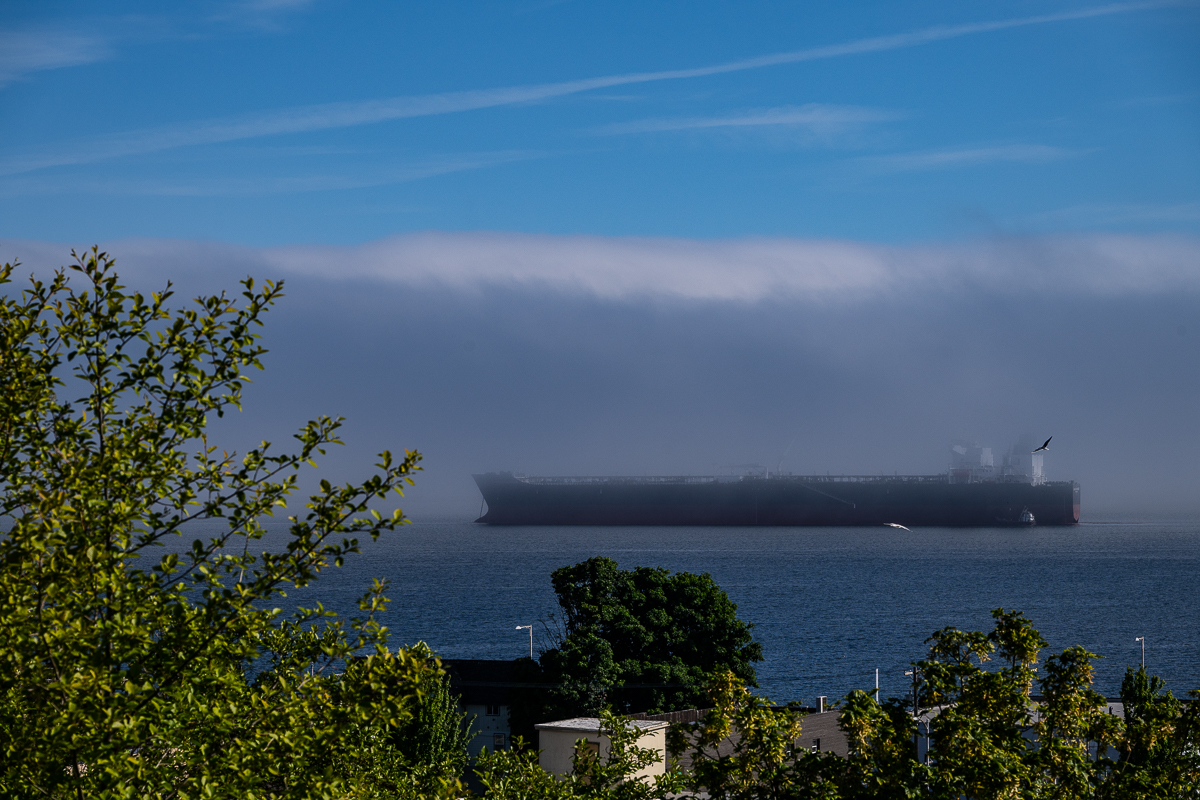 DSC_5545.jpg