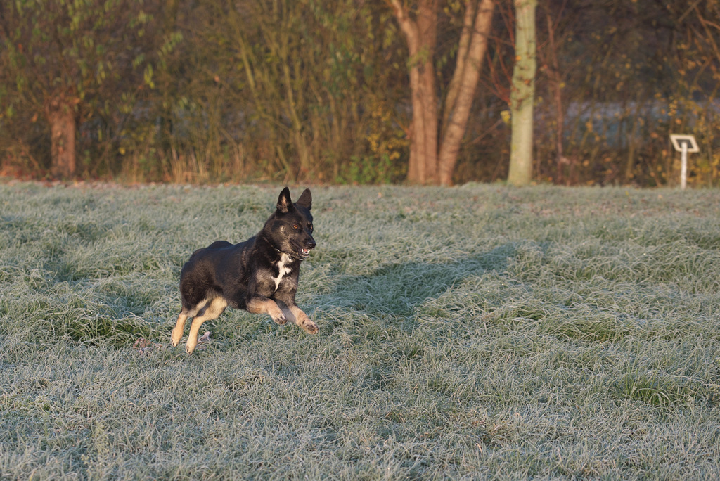 DSC_5553.jpg