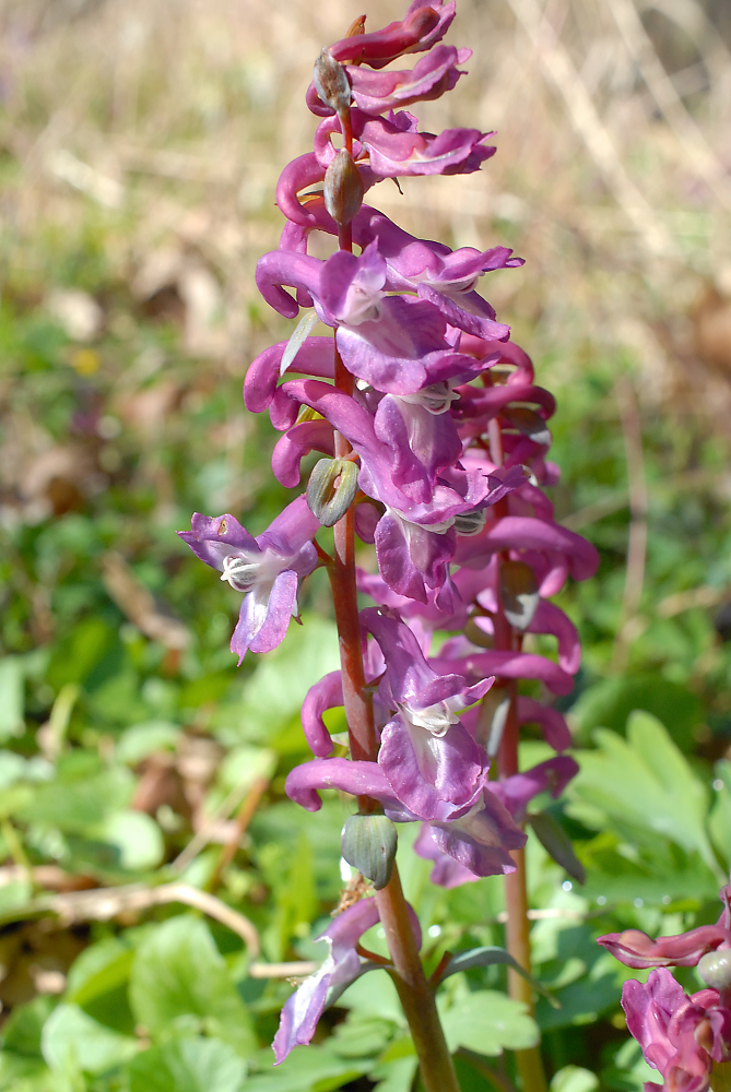 DSC_5574.jpg