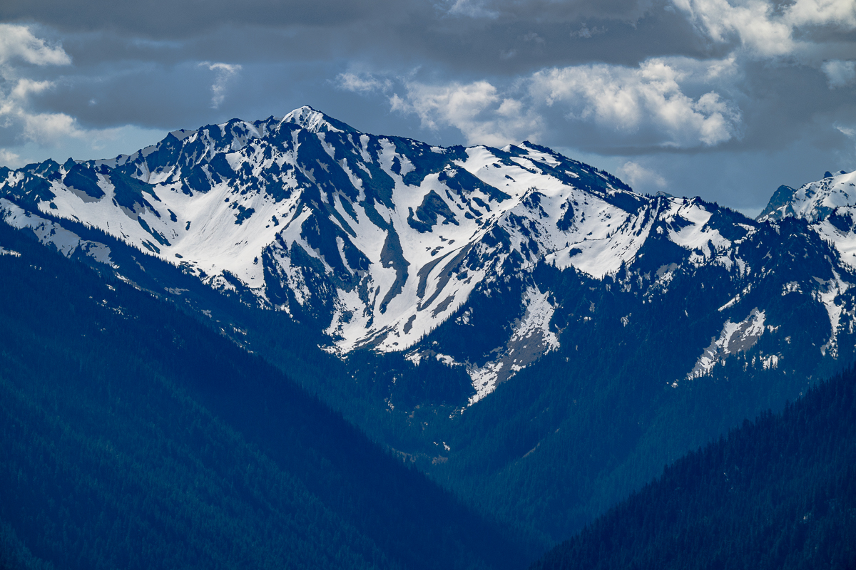 DSC_5582.jpg