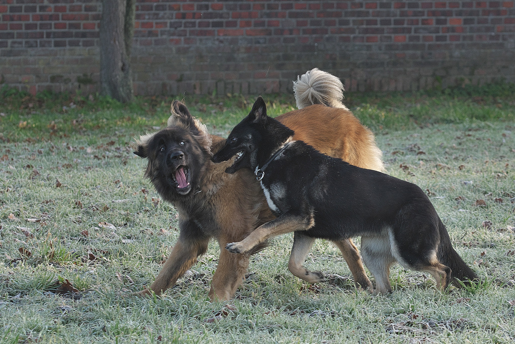 DSC_5590.jpg