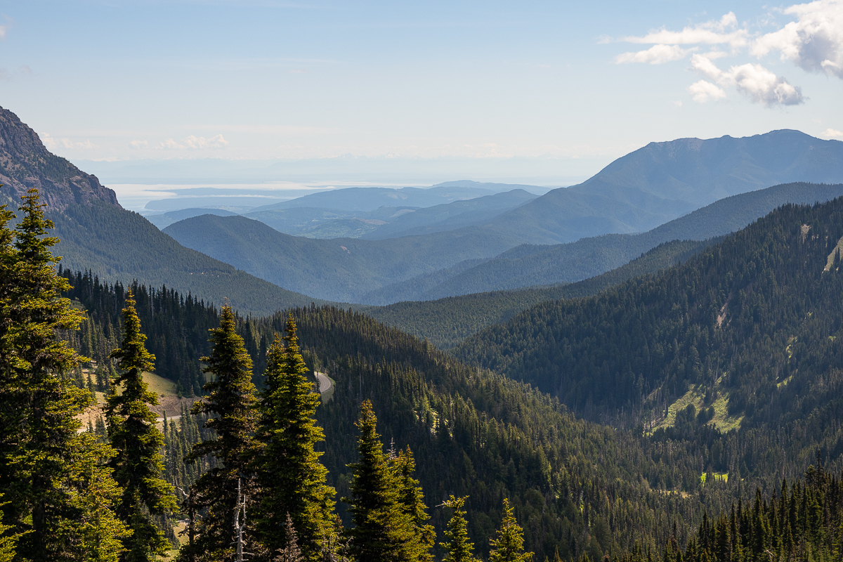 DSC_5601.jpg