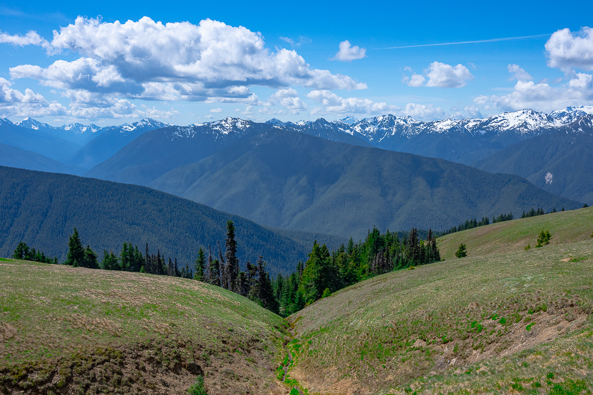 DSC_5606.jpg