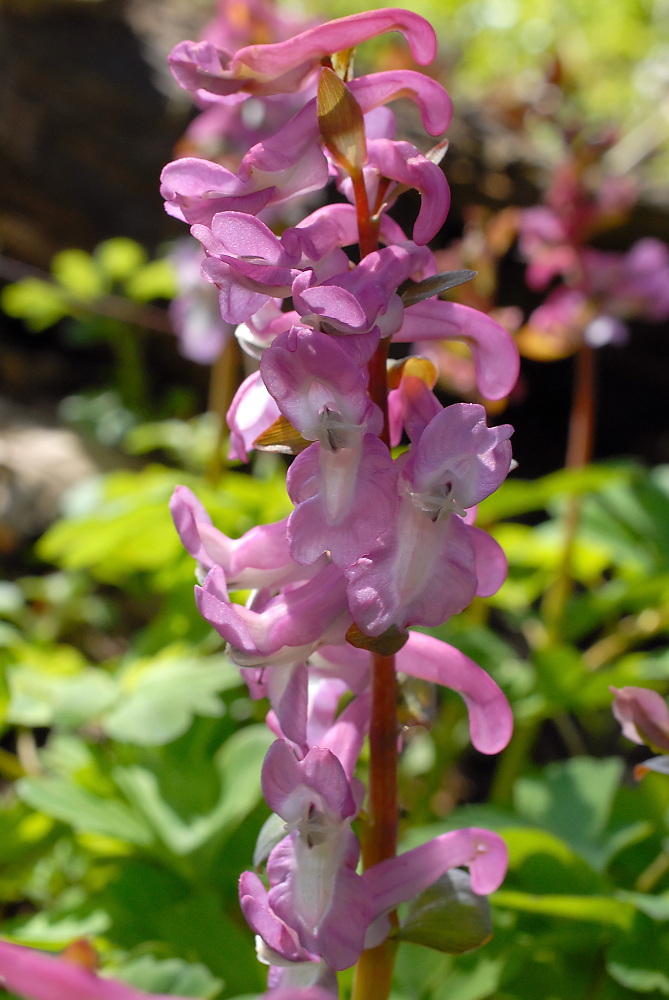 DSC_5613.jpg