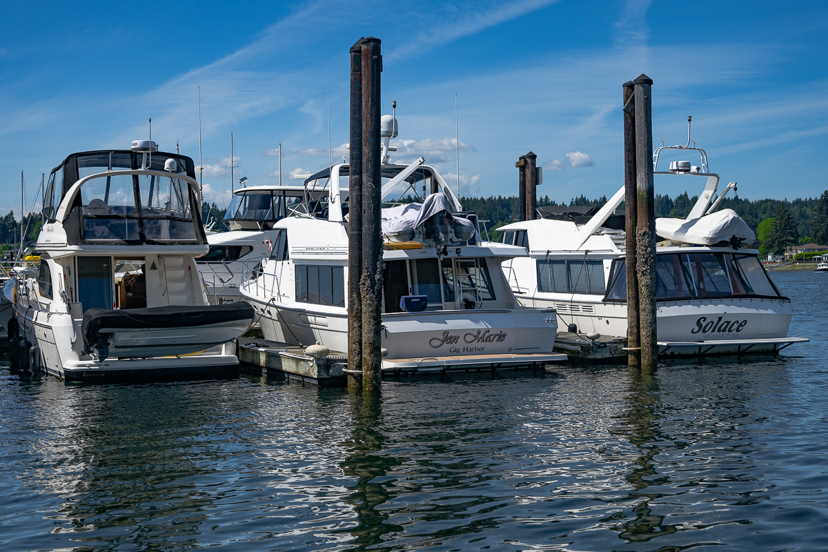 DSC_5617.jpg